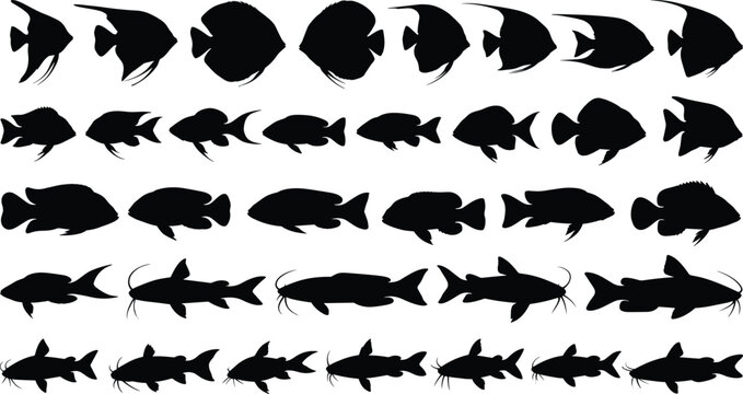 Spadefish Vector Spadefish Images – Browse 54,192 Stock Photos, Vectors, and Video ...