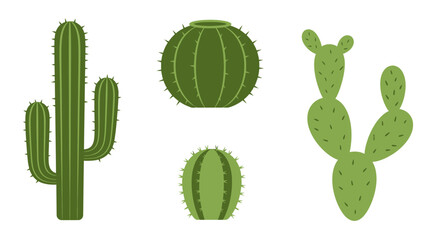 Cacti Plants Various Shapes and Forms.
