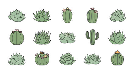 Collection of Various Succulent Plants and Cactus.