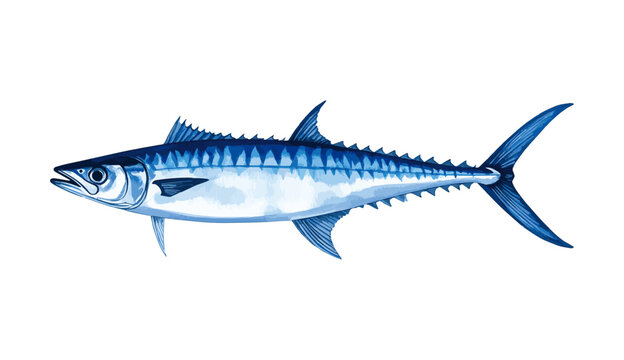 Kingfish Mackerel Fish Watercolor Illustration