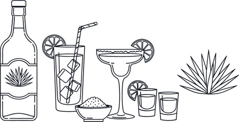Tequila cocktail and agave vector illustration set with bottle margarita glass shots lime salt and bar drink elements isolated on white background © Jahangir