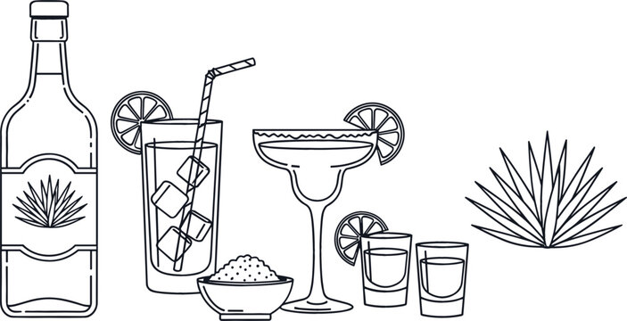 Tequila cocktail and agave vector illustration set with bottle margarita glass shots lime salt and bar drink elements isolated on white background