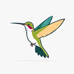 Obraz premium Hummingbird in Flight - A Vibrant Illustration of Natures Beauty.