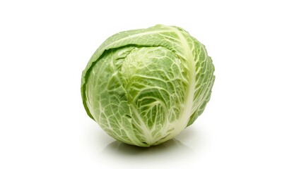 Fototapeta premium New green napa cabbage set against a white backdrop