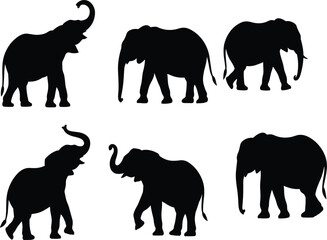 Six black elephant silhouettes in various poses, wild African animal collection for safari design, isolated vector © Moksedul
