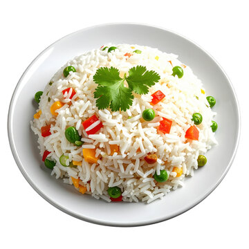 Delicious vegetable rice dish garnished with fresh cilantro on white plate isolated on white background