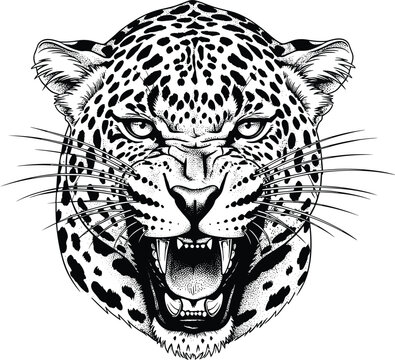 Leopard face illustration, fierce wildlife predator, big cat vector art, detailed animal design, open mouth roaring leopard, nature clipart, jungle artwork