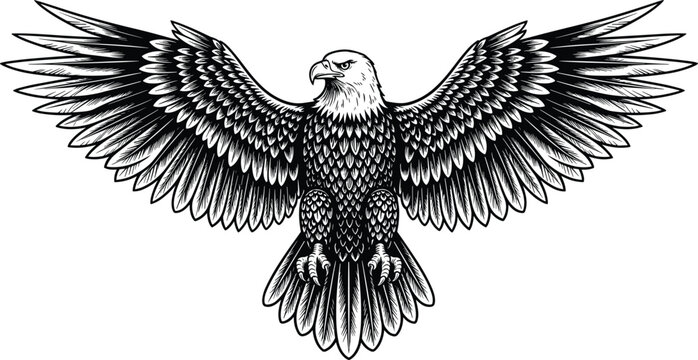 Majestic eagle illustration, detailed wings spread, black and white vector art, powerful bird design, symmetrical frontal view, open beak, intricate feathers