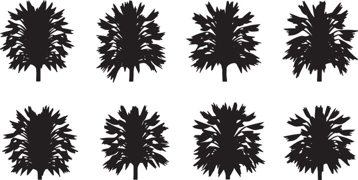 Black Solid Fishtail Palm Silhouettes Set of Six on White Background