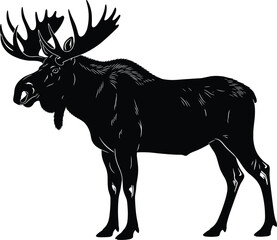 Obraz premium Moose silhouette vector illustration with large antlers, northern wildlife animal profile, muscular body design, nature inspired artwork composition