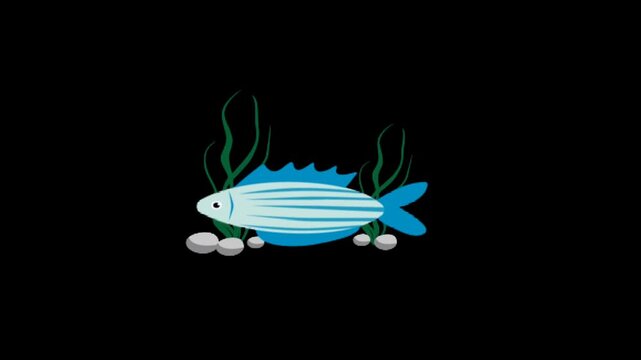 Blue striped fish swimming gently near sea plants and stones with bubbles in dark underwater calm loop animation scene