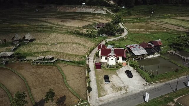 Drone Shot of Cars Parked at a Traditional Village at roadside Near Rice Fields