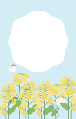 Textile Style Nanohana (Canola Flower) Vector Template (No Text) | Spring Floral Background Illustration