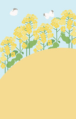 Textile Style Nanohana (Canola Flower) Vector Template (No Text) | Spring Floral Background Illustration