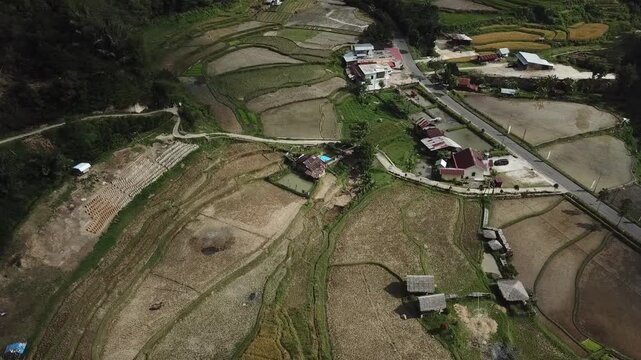 Drone Shot of Cars Parked at a Traditional Village at roadside Near Rice Fields