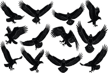 Obraz premium Eagle silhouette collection, flying bird of prey, hawk set, cad drawing flat vector illustration, bald eagle wingspan, predator hunting, wildlife.