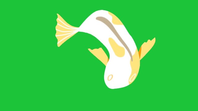White koi fish with yellow orange fins and markings swims in curved posture on bright green background in simple cartoon aquatic animation style