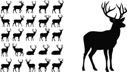 Black silhouette vector illustration featuring multiple deer poses, antler variations, upright stag, wildlife design, animal shapes, hunting motifs, decorative artwork © MdSajibul