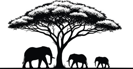 Cat silhouette vector illustration, feline posture design, sitting walking leaping poses graphic, black bold style, domestic pet animal art © MdSajibul