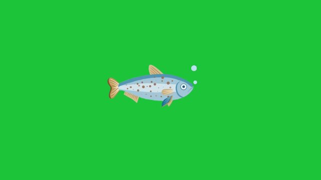 Cartoon fish swims across a bright green background with gentle fin motion and two rising bubbles perfect for looping kids educational clips playtimes