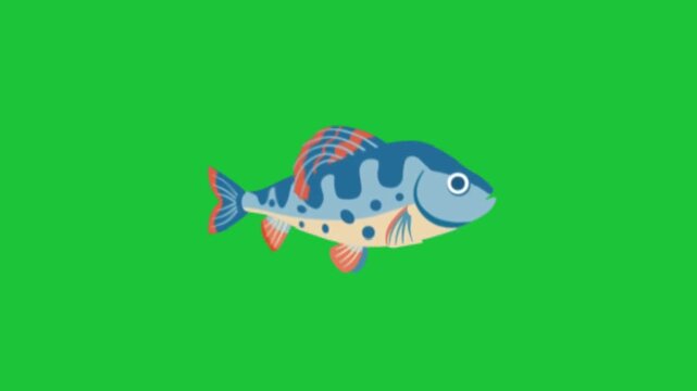 Colorful cartoon fish swims across a bright green background with gentle fin motion rising bubbles and smooth looped animation ideal for kids mediapro