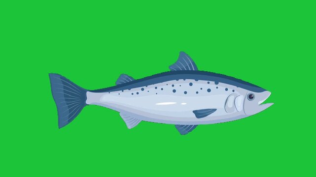 Playful blue fish swims left across a vivid green backdrop with subtle bubbles and smooth looping motion ideal for kids media education and fun todays