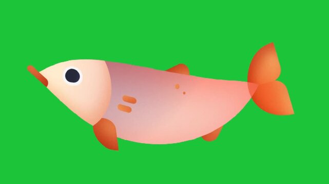 Vibrant cartoon fish animation playful pink orange fish swims across a green backdrop, looping motion, huge eye, smooth fins perfect for kids' media