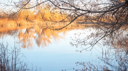 Golden autumn trees reflected in a serene mountain lake during soft sunlight, a tranquil natural vista