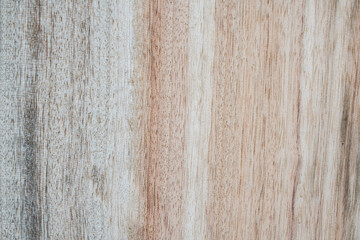 Obraz premium grunge rustic textured wooden background, wooden texture backdrop camphor