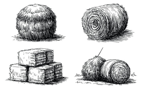 Hay bale farm drawing sketch vector set, hand drawn haystack collection with rustic countryside straw bundles in detailed line art style, isolated agricultural illustration for rural, harvest, and far