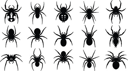Spider silhouette collection, arachnid set, cad drawing flat vector illustration, insect icon, black widow tarantula isolated on white background, nature, pest. © Robiul