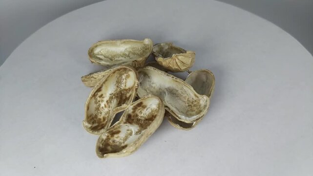 The peanut shell rotates slowly. Seen from the side, top corner.