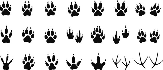 Animal paw and footprint silhouettes collection, canine feline bird reptile amphibian tracks grid, wildlife nature study educational vector illustration © MSTIRIN