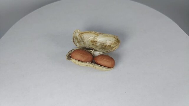video of raw peanuts complete with exposed skin, rotating slowly. Viewed from the top corner, the background is white.
