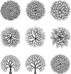 Black and white vector illustration of stylized trees, diverse top view foliage branching patterns for botanical design elements