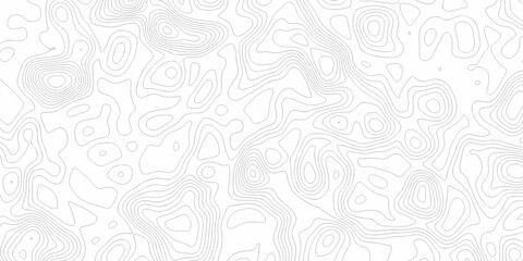 Fototapeta premium Minimal white line geometric grid outline curve counter map and wavy topography relief discovery area white, black line texture background.