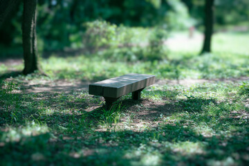 木陰のベンチ　小山内裏公園