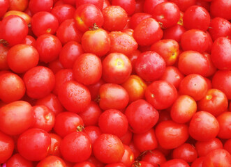 Many fresh tomatoes as background	