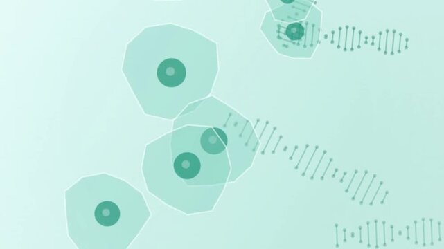 Scientific animation of abstract biological cells and DNA strands drifting across a clean light teal background