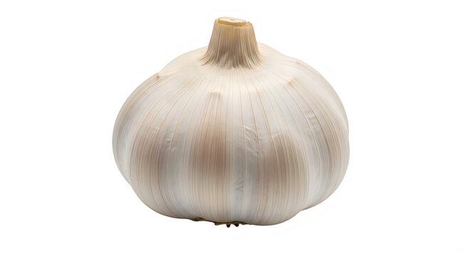 Fresh garlic bulb with papery skin and stem on transparent background transparent background