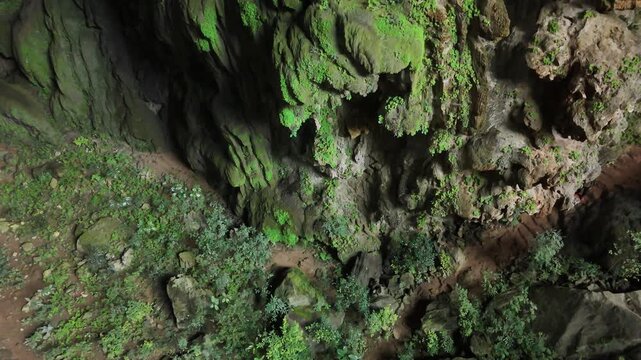 Elephant Cave, Phong Nha &ndash; Ke Bang National Park, Bo Trach, Quang Binh, Central Vietnam &ndash; 4K footage of massive stalactites, moss-covered limestone formations, jungle cave entrance of UNESCO site