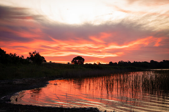 Golden hour sunset over a field by the lake, with reflections in the water, Lake Colac,  Victoria, Australia