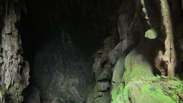 Elephant Cave, Phong Nha &ndash; Ke Bang National Park, Bo Trach, Quang Binh, Central Vietnam &ndash; 4K footage of massive stalactites, moss-covered limestone formations, jungle cave entrance of UNESCO site
