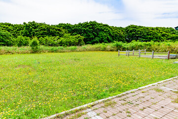 オロロンの島 焼尻島(やぎしりとう)を行く
