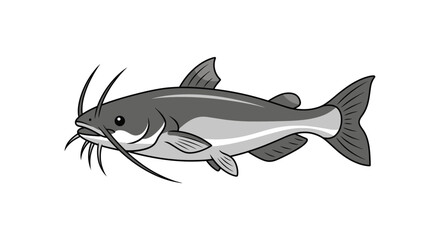 Illustration of a Catfish with Long Whiskers on White Background © Anisah