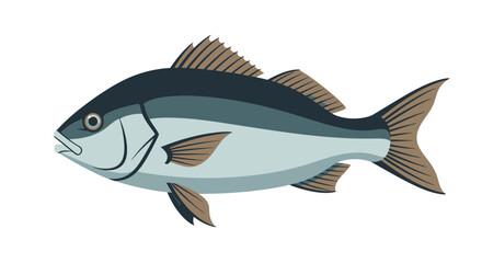 Illustration of a Blue and Silver Fish on White Background