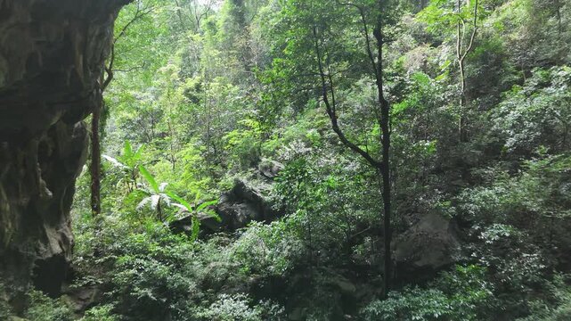 Elephant Cave, Phong Nha &ndash; Ke Bang National Park, Bo Trach, Quang Binh, Central Vietnam &ndash; 4K footage of massive stalactites, moss-covered limestone formations, jungle cave entrance of UNESCO site
