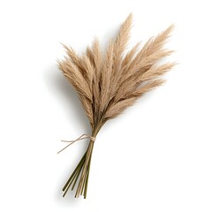 Fototapeta premium Beautiful Pampas Grass Bouquet for Home Decor and Natural Aesthetic Enhancement
