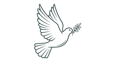Fototapeta premium A dove flies with an olive branch in its beak outdoors.