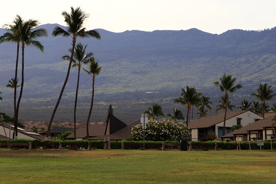 View of the Haleakala volcano at sunrise in Maui, Hawaii